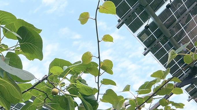 2121�Ƿ���(�й���)�����ٷ���վ