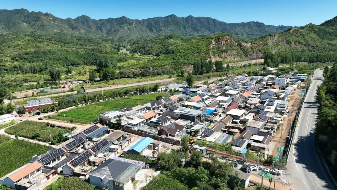 2121�Ƿ���(�й���)�����ٷ���վ