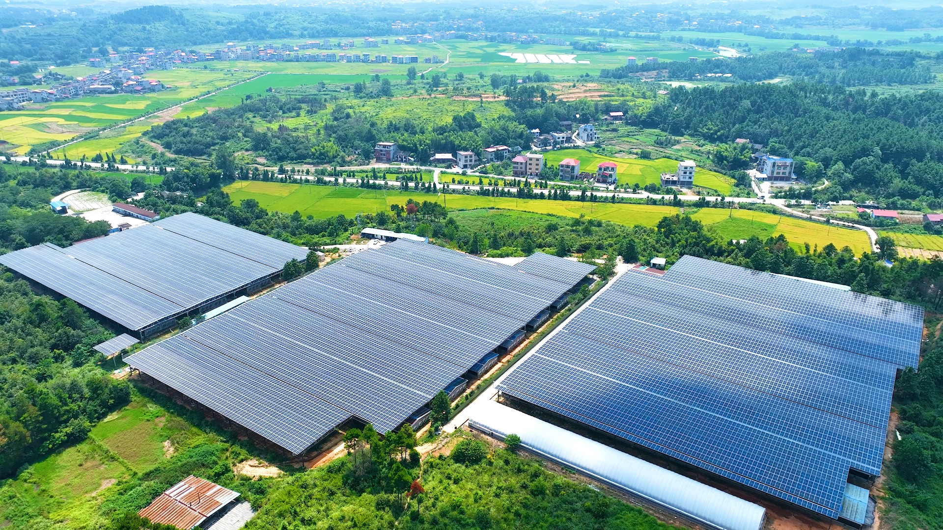 2121�Ƿ���(�й���)�����ٷ���վ