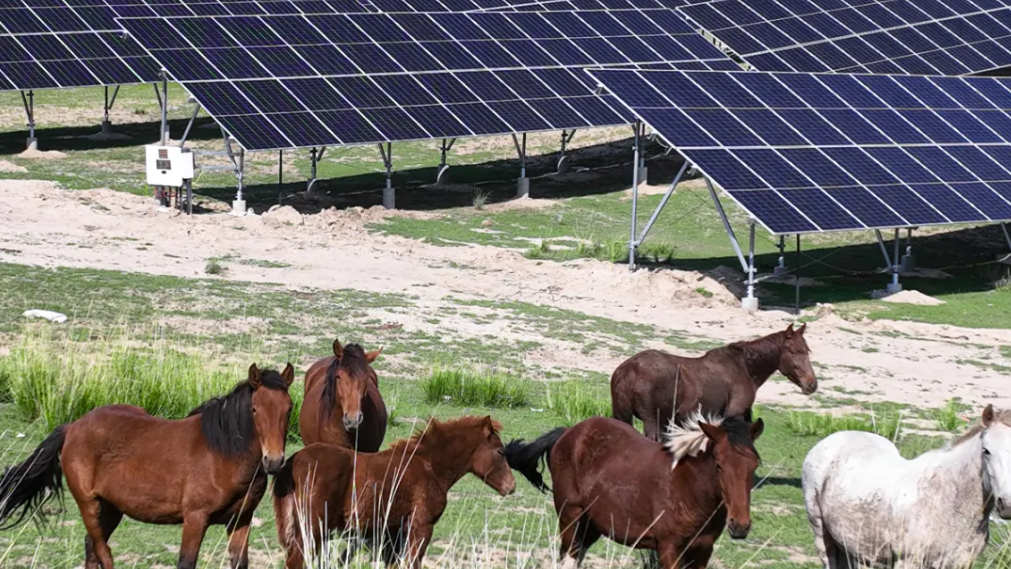 2121�Ƿ���(�й���)�����ٷ���վ